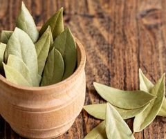 Premium Indian Dried Bay Leaves (Tej Patta) | Hand Sorted & Selected Grades | 5–10cm & 10–15cm Export Quality - Image 2